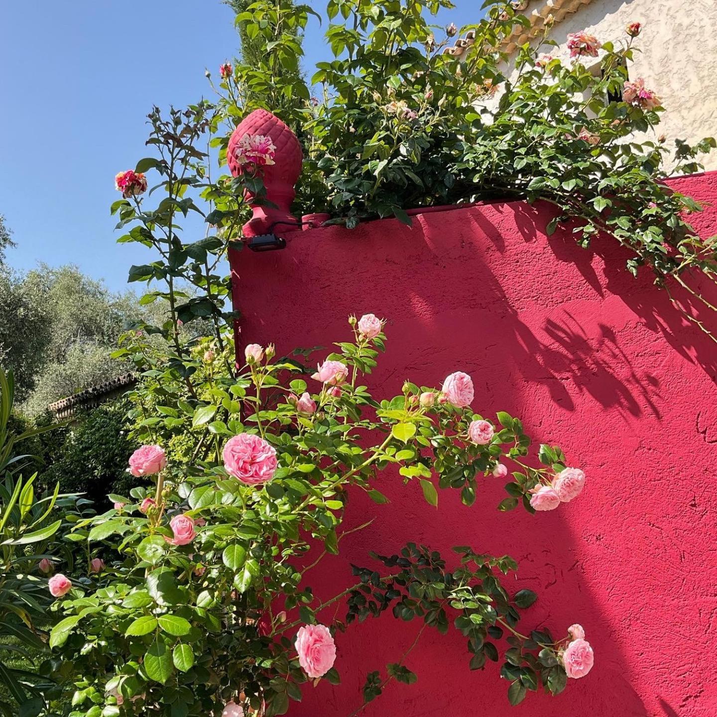 فندق Mas De Provence En Riviera La Roquette-sur-Var المظهر الخارجي الصورة