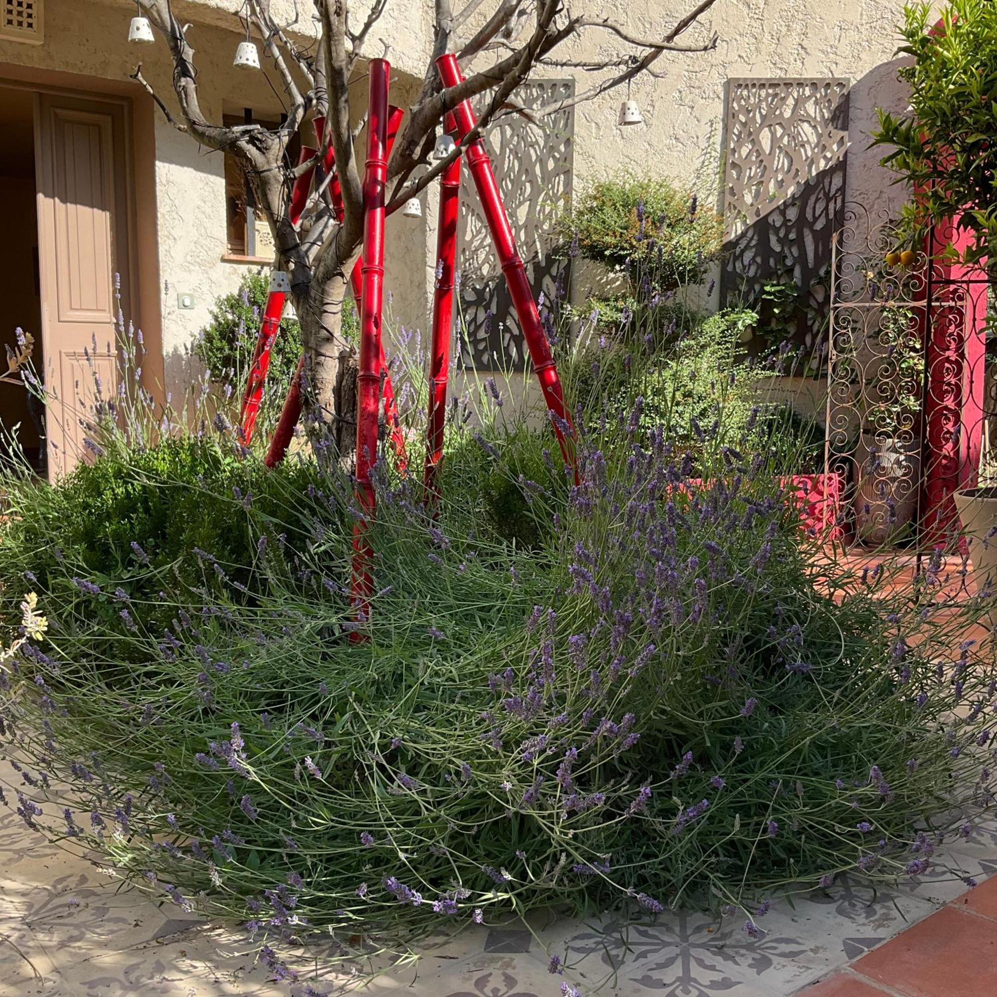 فندق Mas De Provence En Riviera La Roquette-sur-Var المظهر الخارجي الصورة